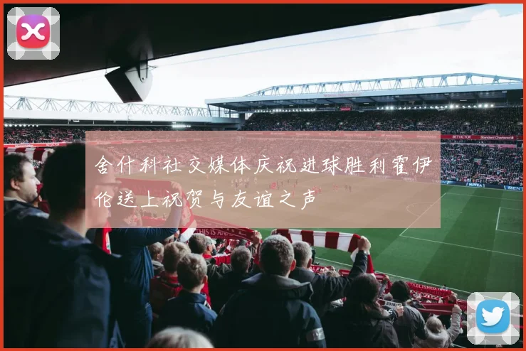 舍什科社交媒体庆祝进球胜利霍伊伦送上祝贺与友谊之声
